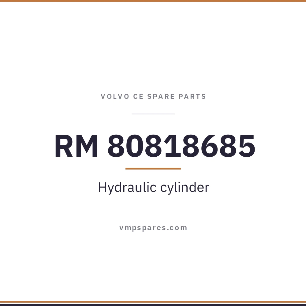 RM 80818685 – Hydraulic cylinder