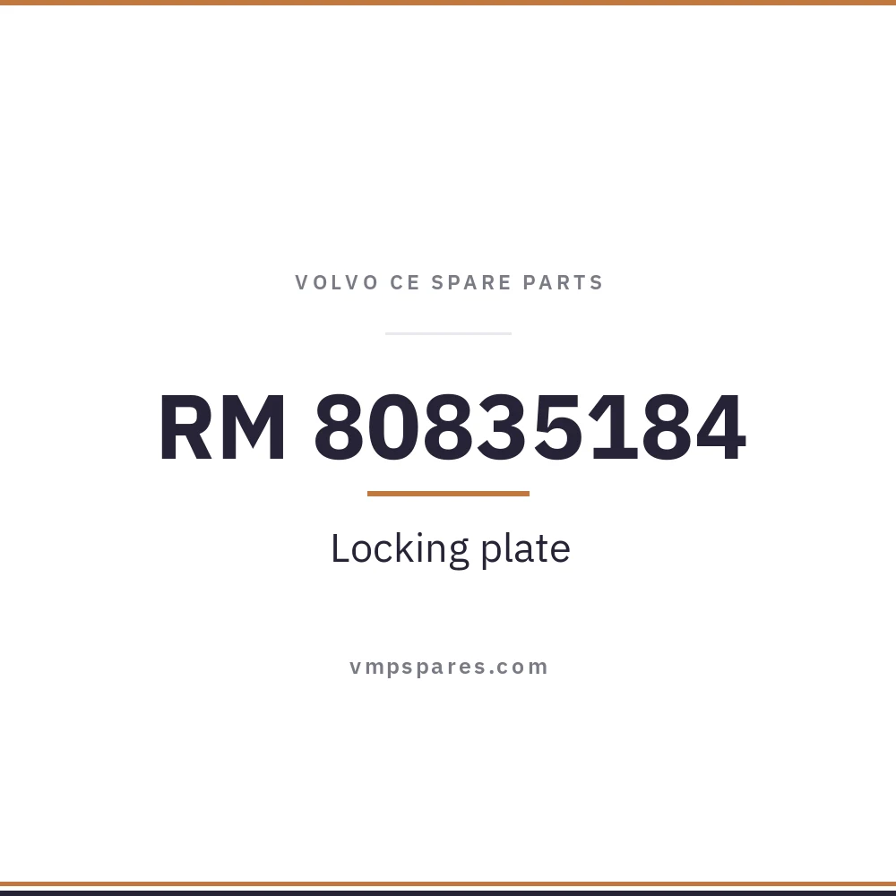 RM 80835184 – Locking plate