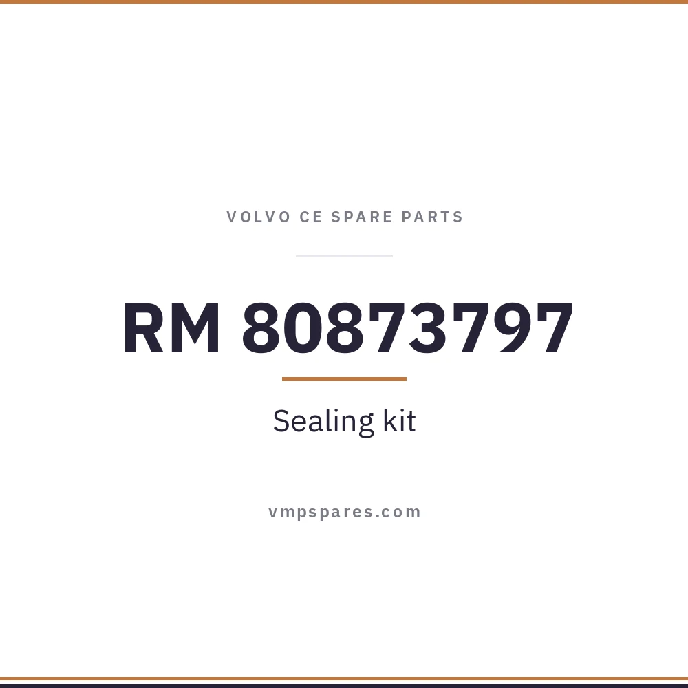 RM 80873797 – Sealing kit