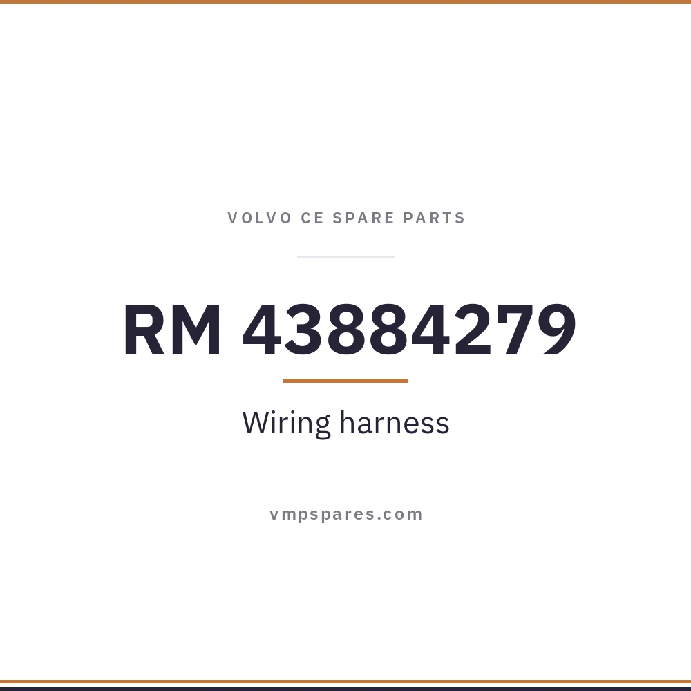 RM 43884279 – Wiring harness