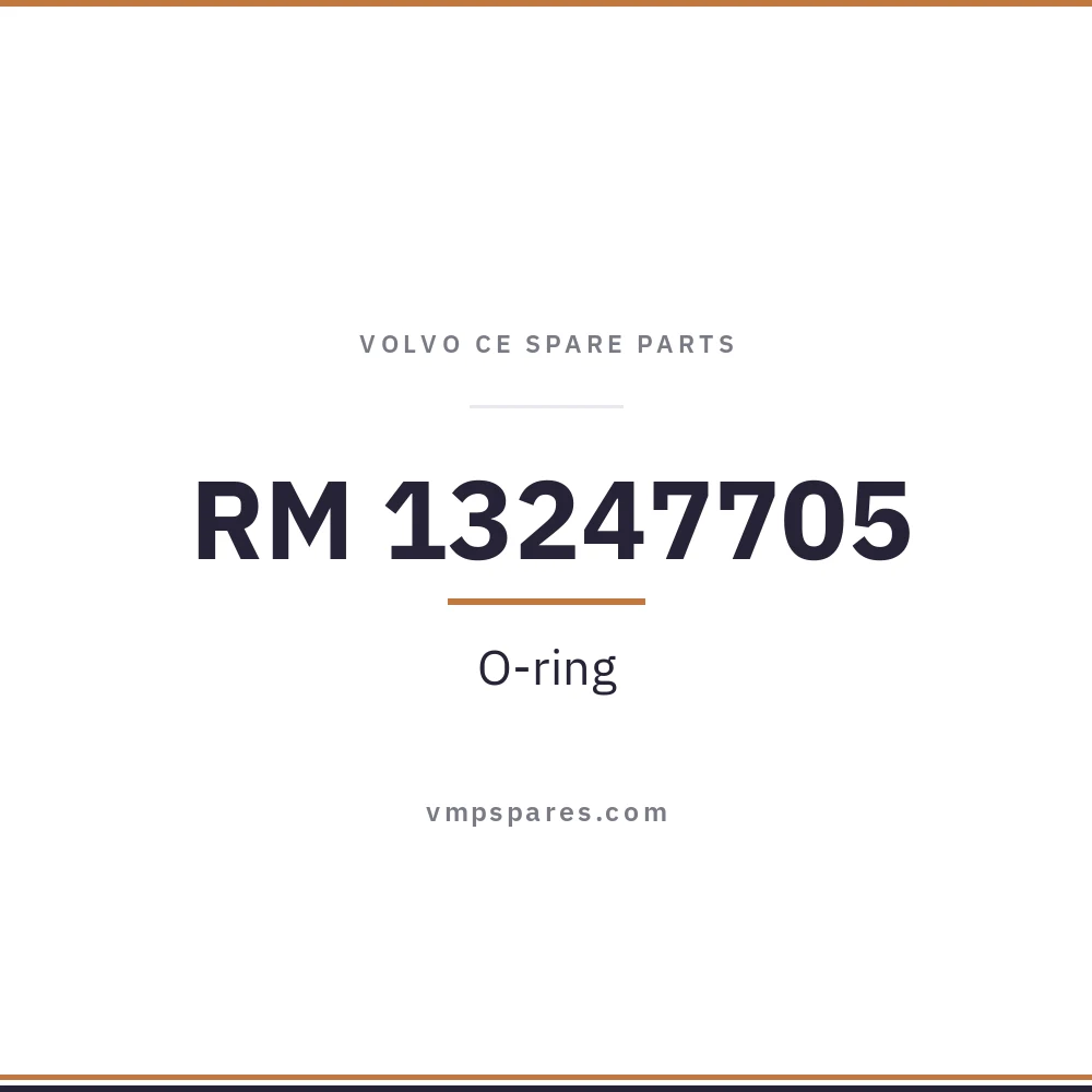 RM 13247705 – O-ring