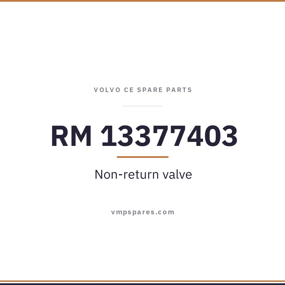 RM 13377403 – Non-return valve