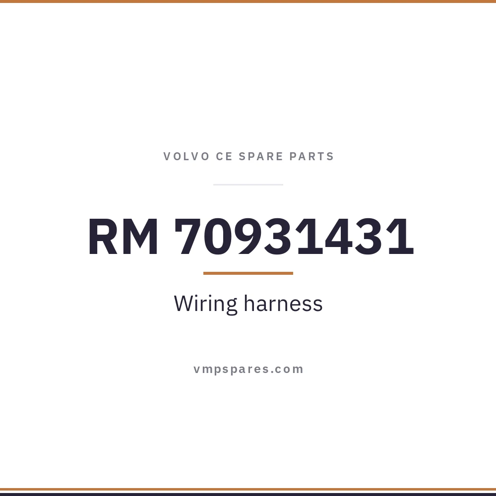 RM 70931431 – Wiring harness