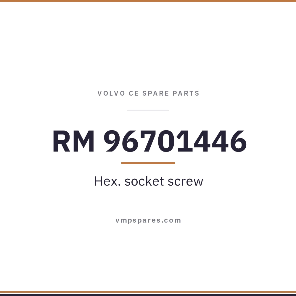 RM 96701446 – Hex. socket screw