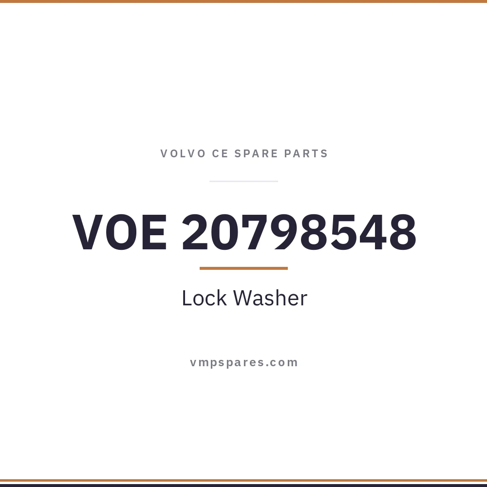 VOE 20798548 – Lock Washer