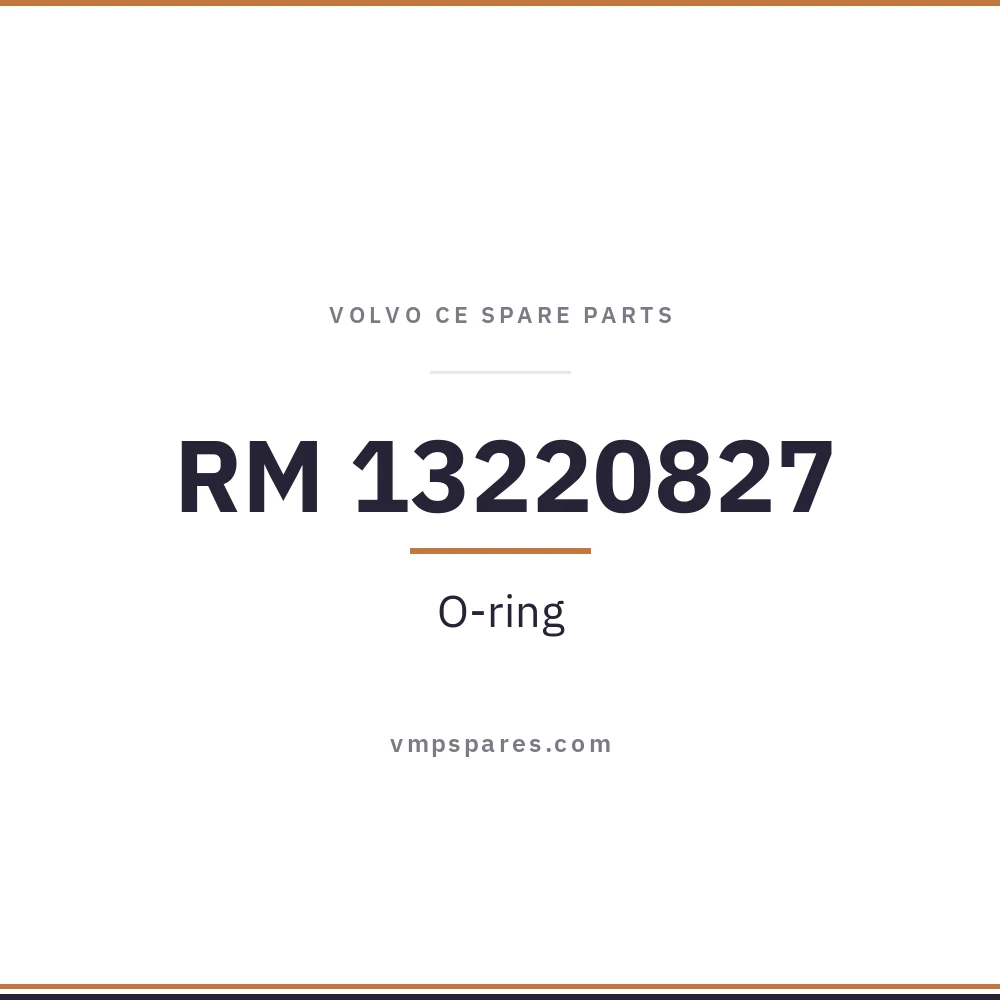 RM 13220827 – O-ring