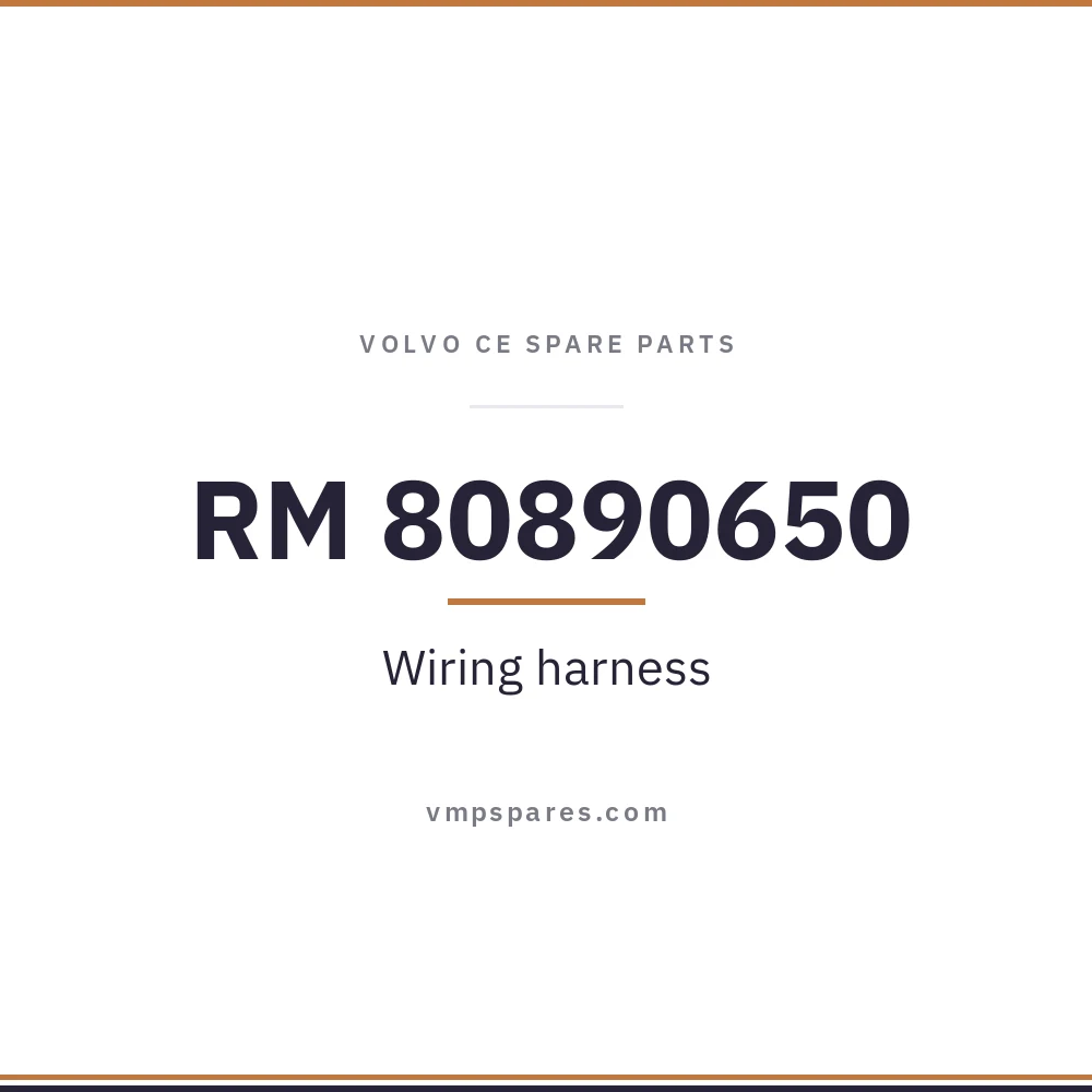RM 80890650 – Wiring harness
