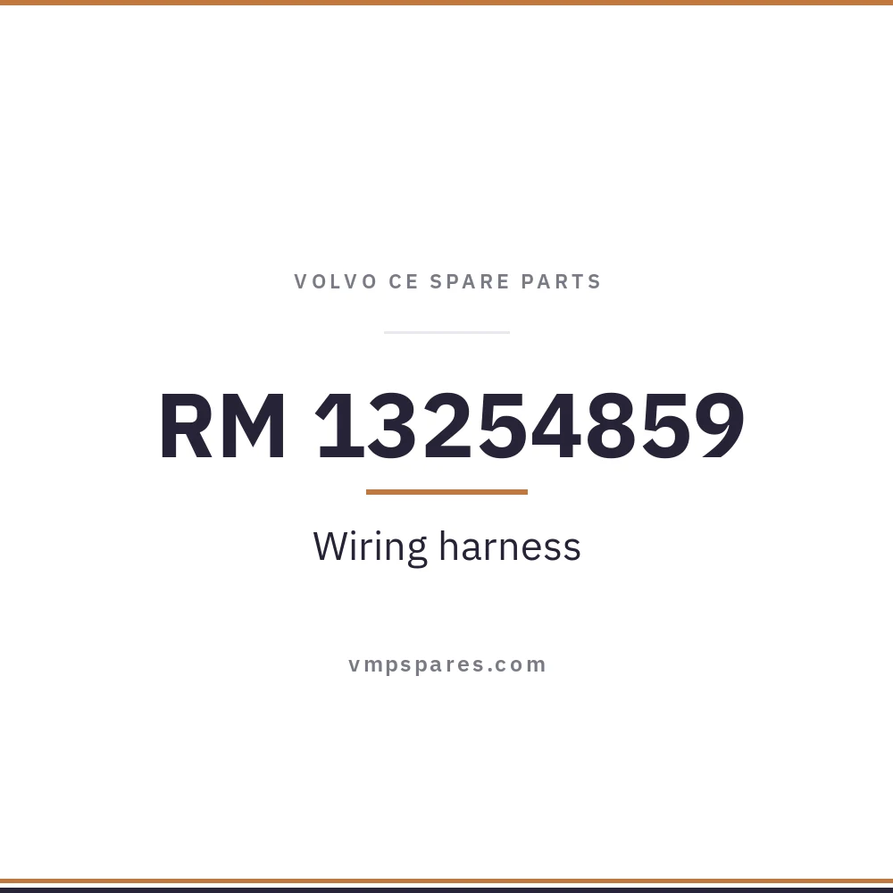 RM 13254859 – Wiring harness