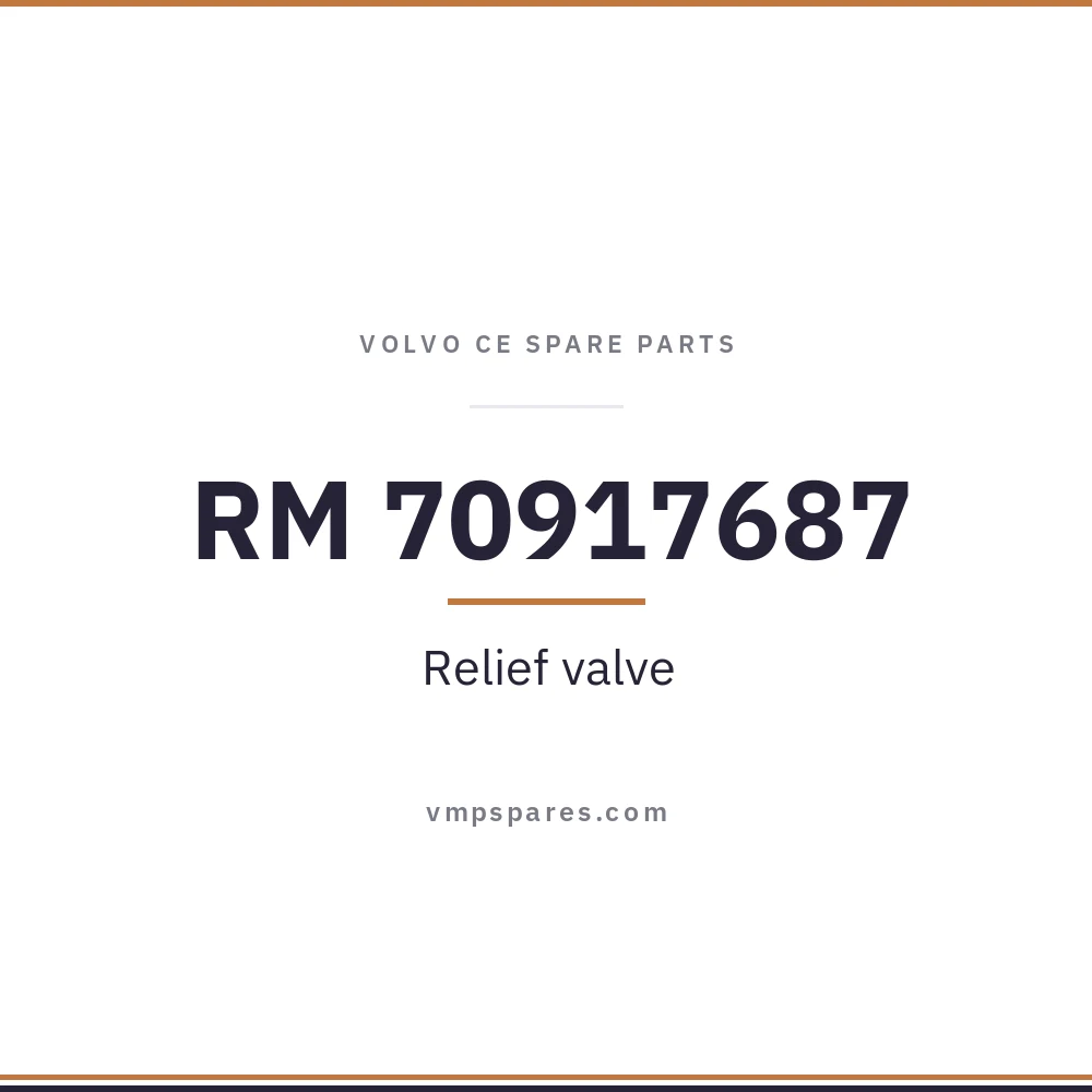 RM 70917687 – Relief valve