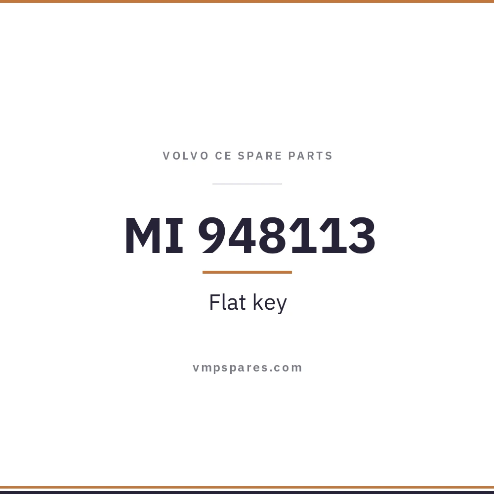 MI 948113 – Flat key
