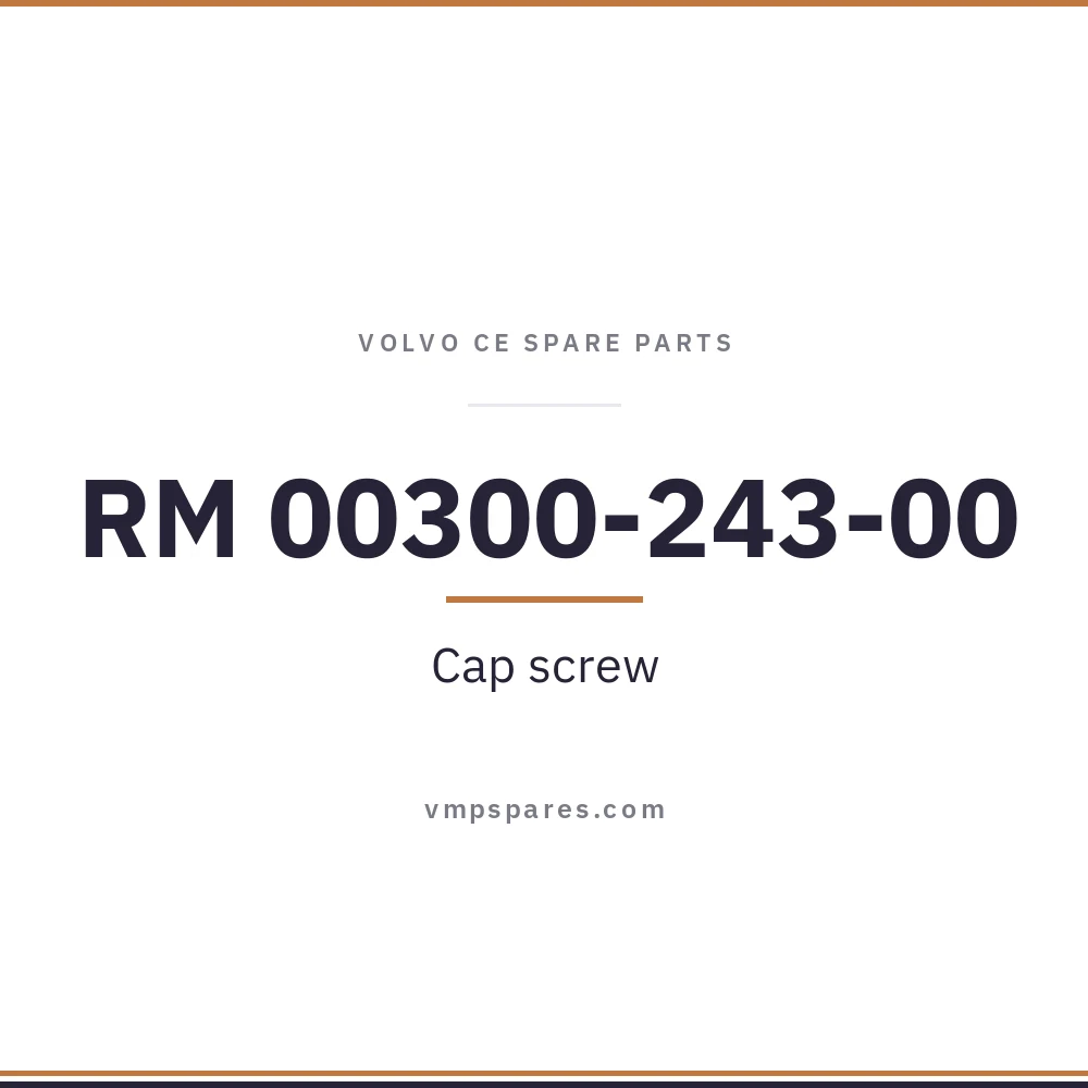RM 00300-243-00 – Cap screw