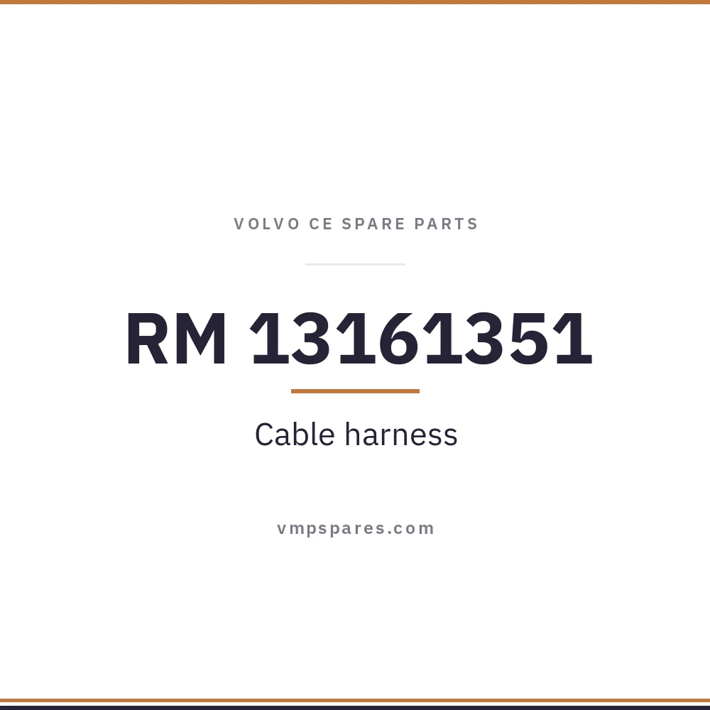 RM 13161351 – Cable harness