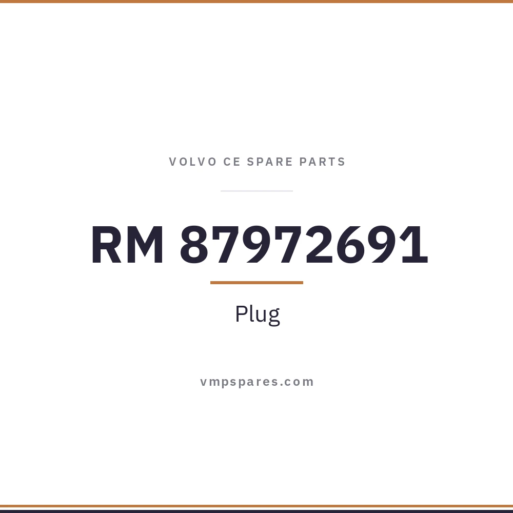 RM 87972691 – Plug
