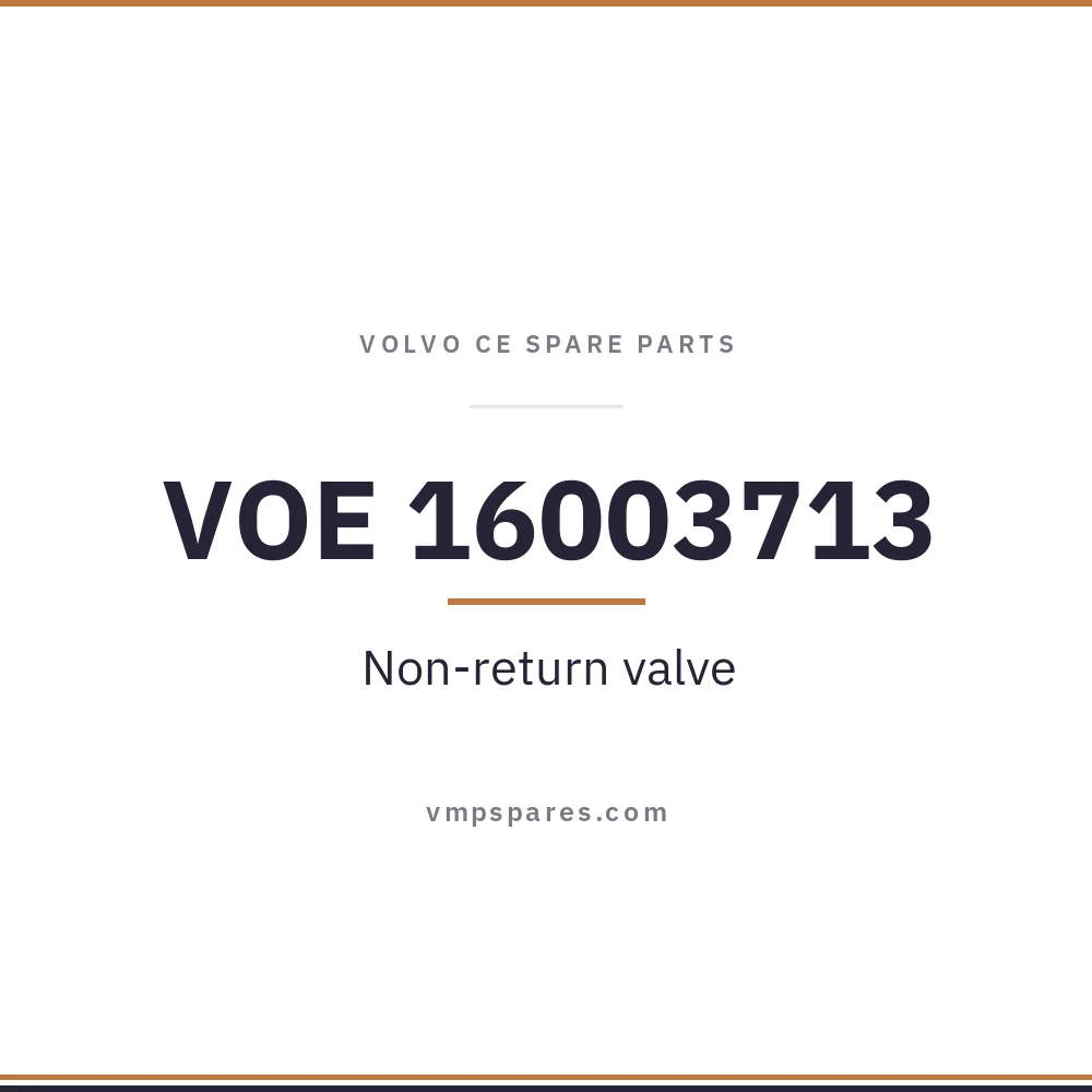 VOE 16003713 – Non-return valve
