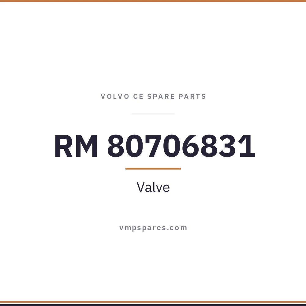 RM 80706831 – Valve