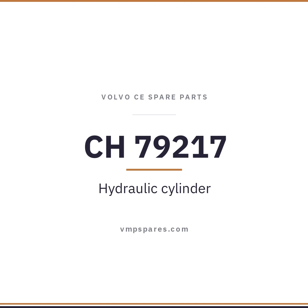 CH 79217 – Hydraulic cylinder