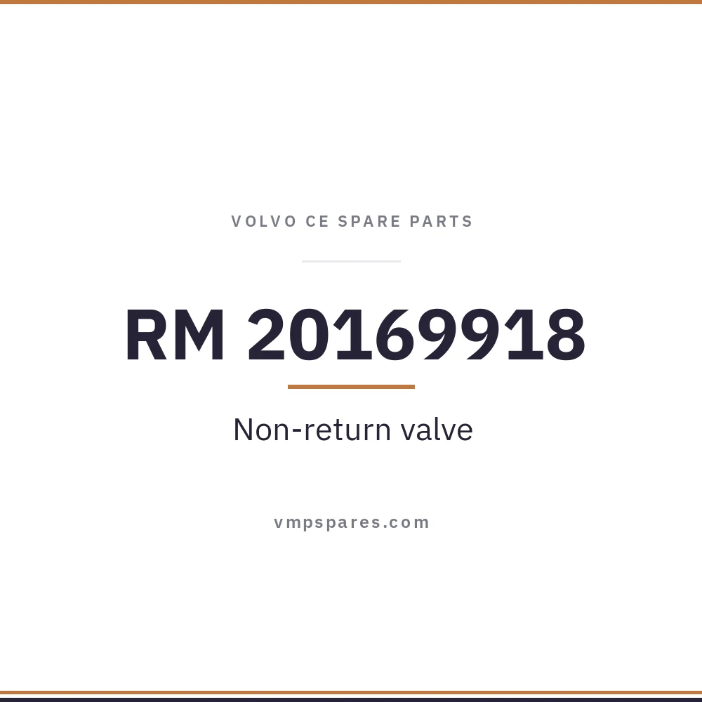 RM 20169918 – Non-return valve