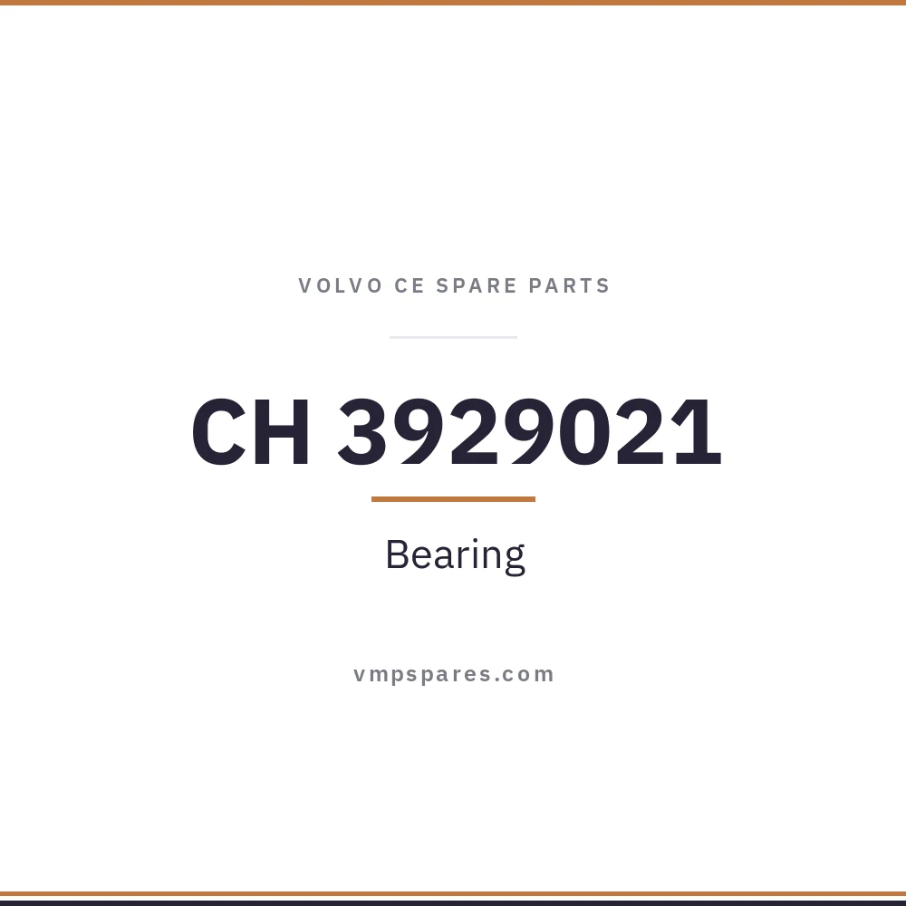 CH 3929021 – Bearing
