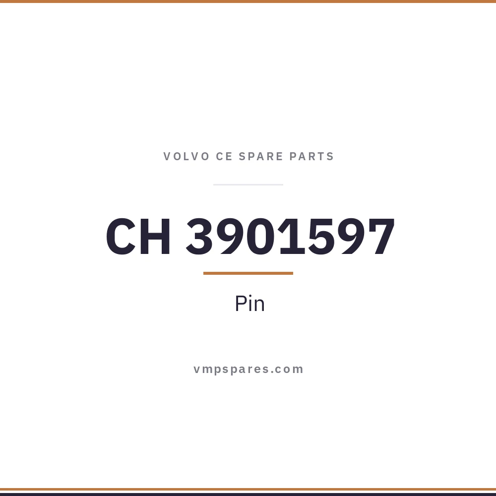 CH 3901597 – Pin