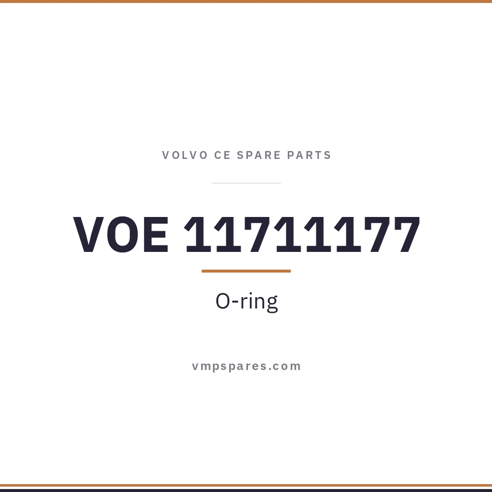 VOE 11711177 – O-ring