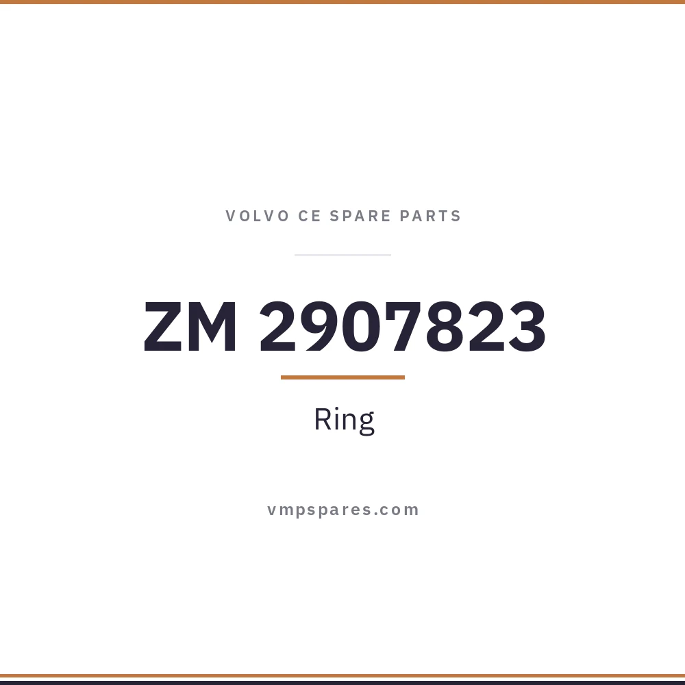 ZM 2907823 – Ring