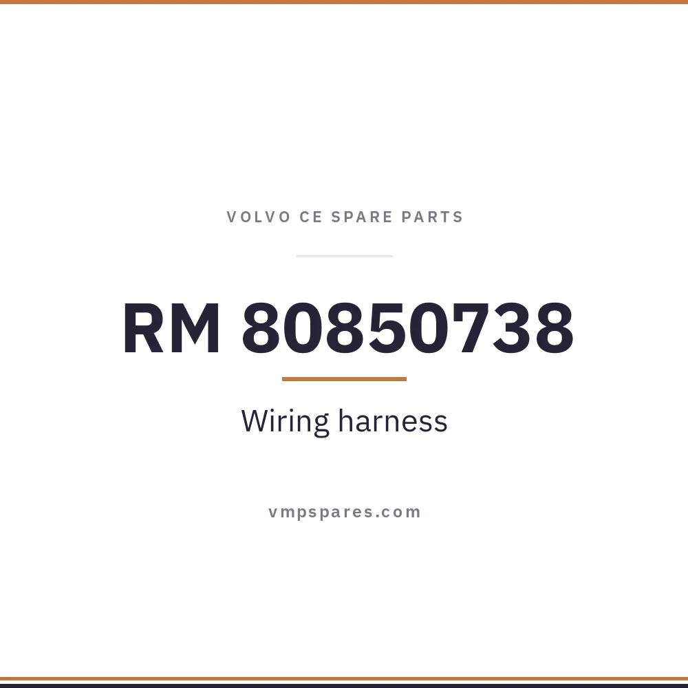 RM 80850738 – Wiring harness