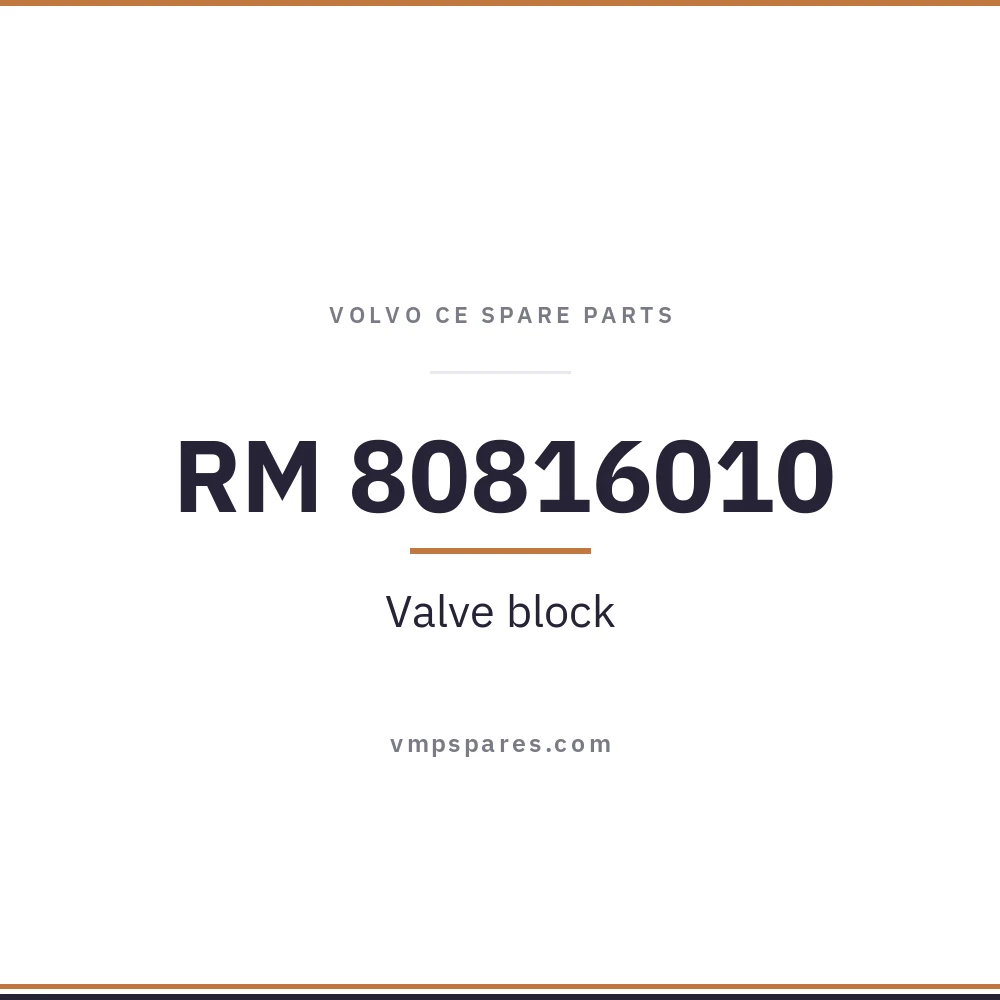 RM 80816010 – Valve block