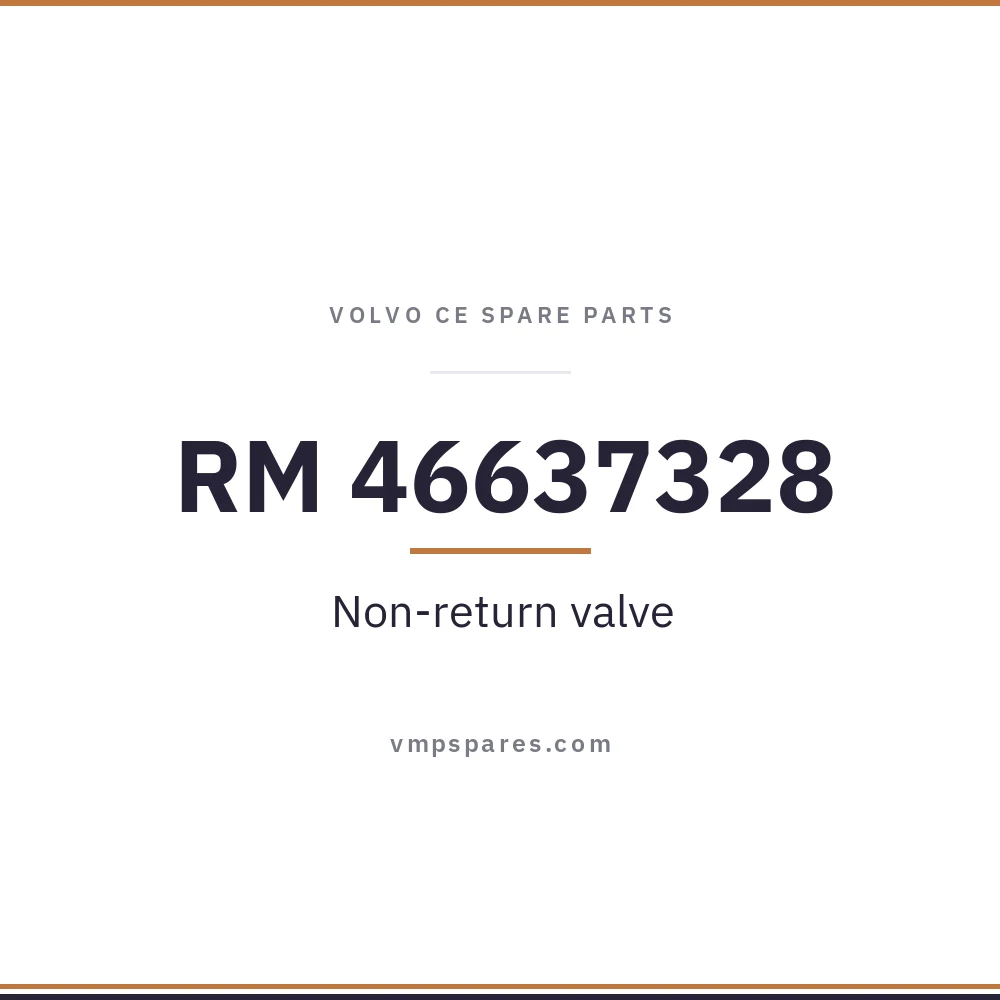 RM 46637328 – Non-return valve
