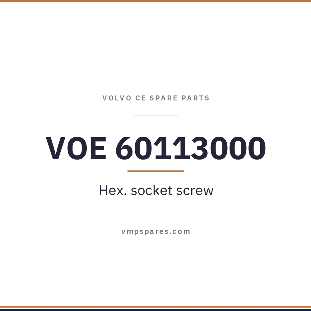 VOE 60113000 – Hex. socket screw
