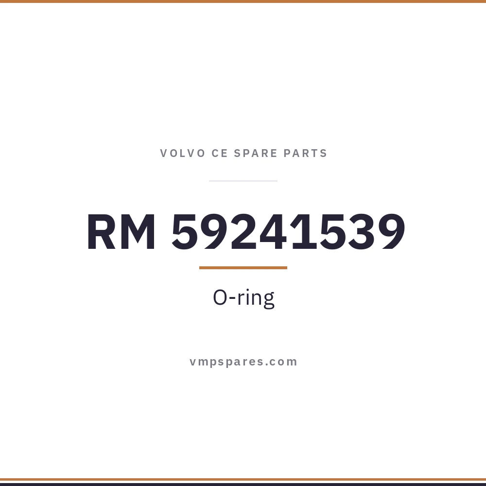 RM 59241539 – O-ring