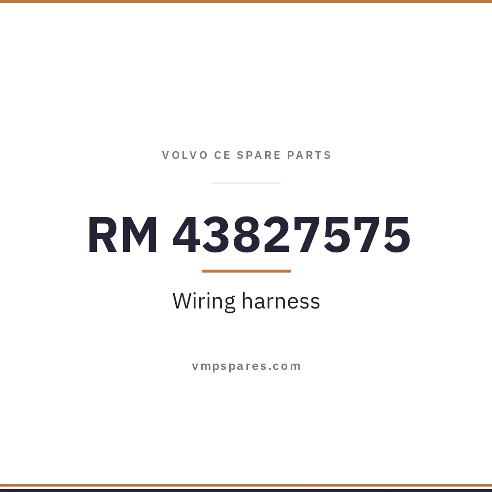 RM 43827575 – Wiring harness