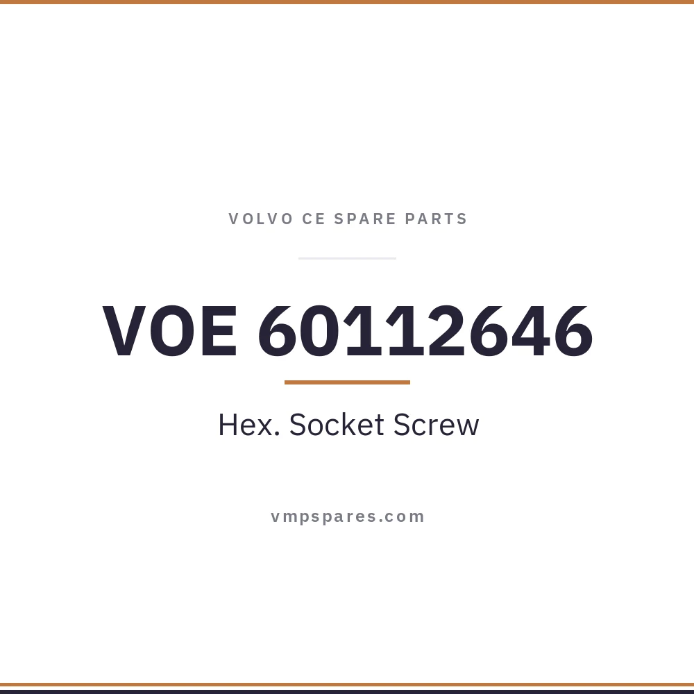 VOE 60112646 – Hex. Socket Screw