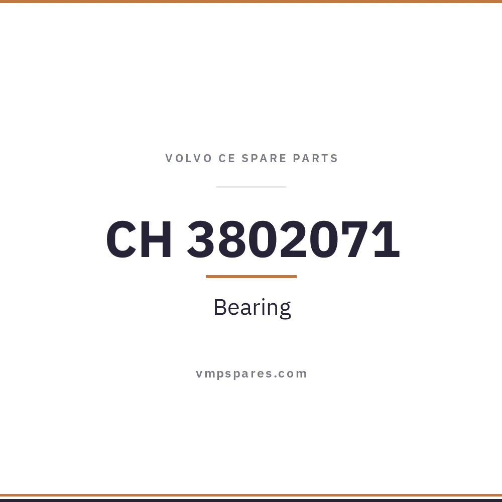 CH 3802071 – Bearing