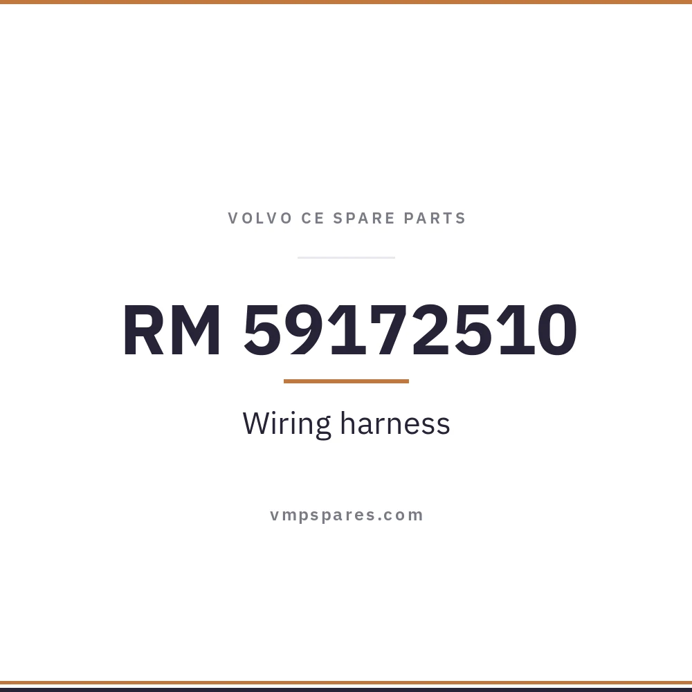 RM 59172510 – Wiring harness