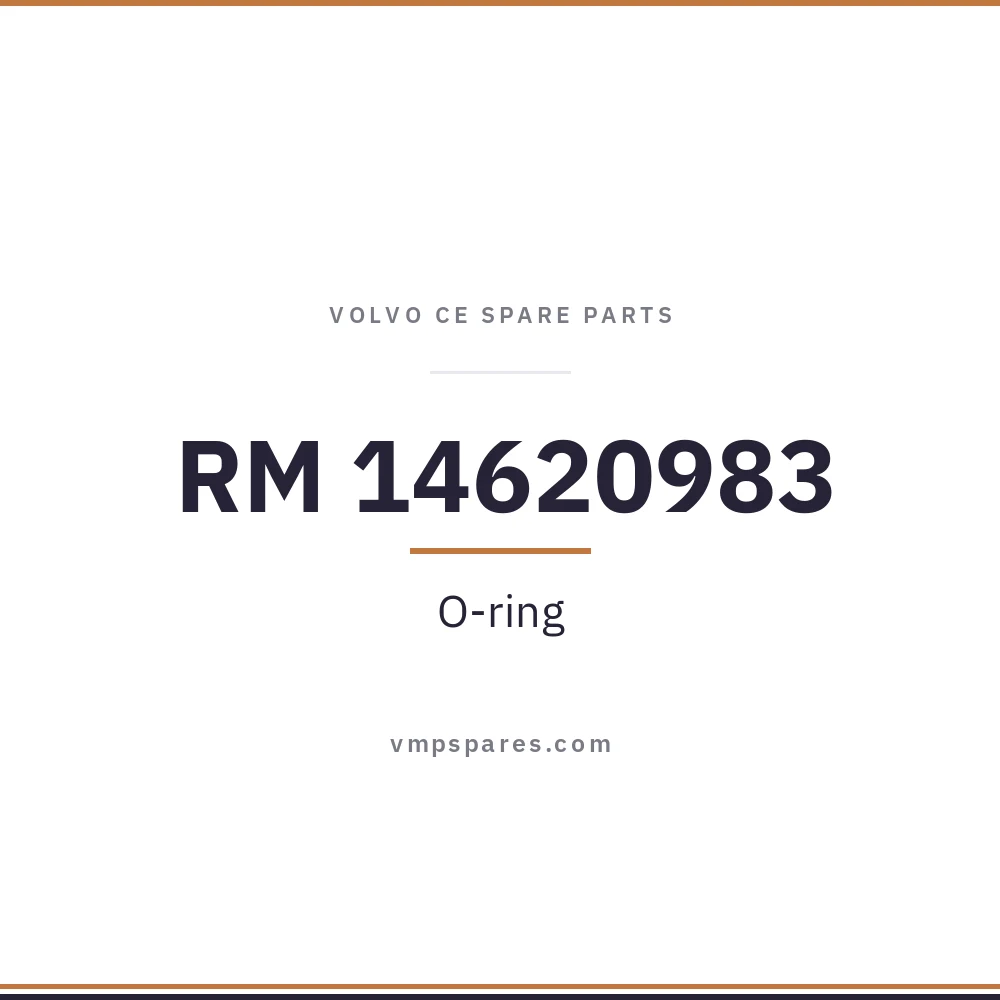 RM 14620983 – O-ring