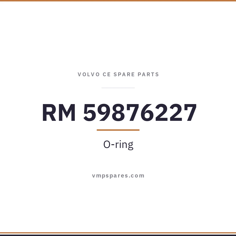 RM 59876227 – O-ring
