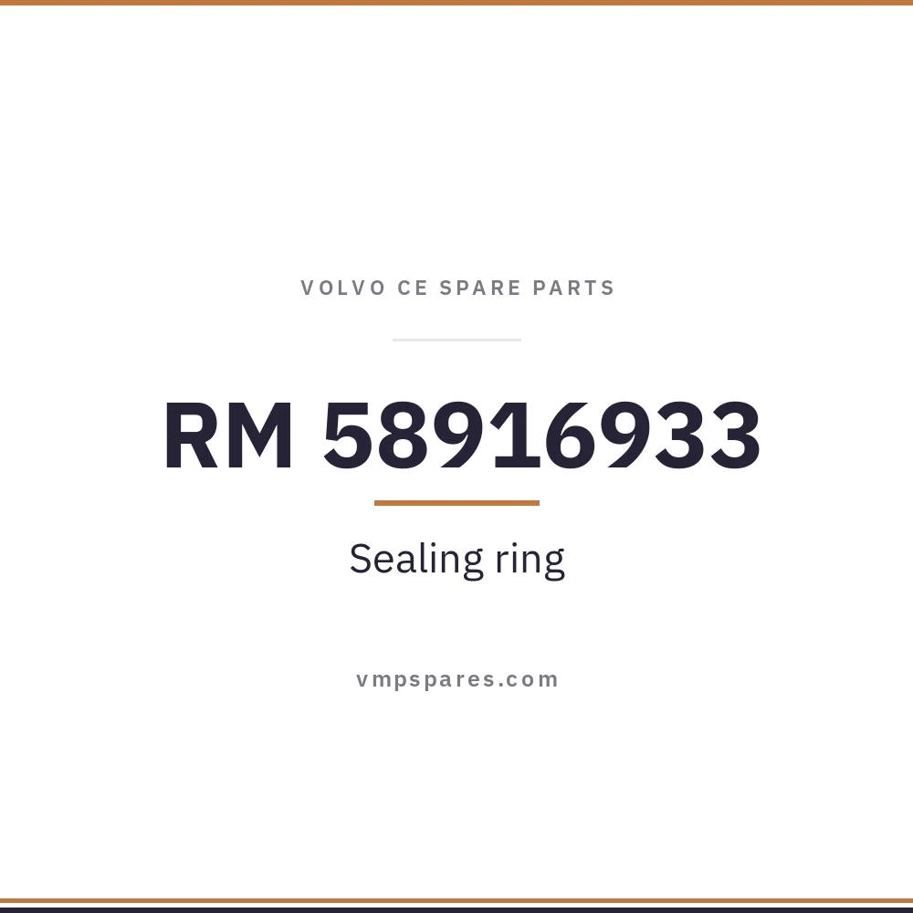 RM 58916933 – Sealing ring