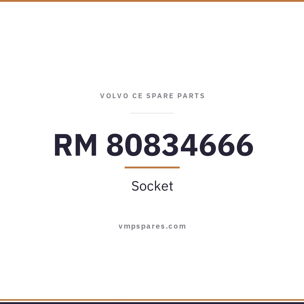 RM 80834666 – Socket