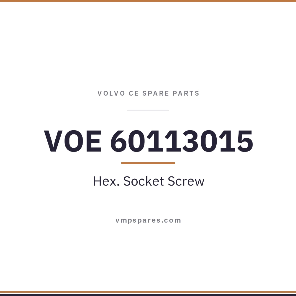 VOE 60113015 – Hex. Socket Screw