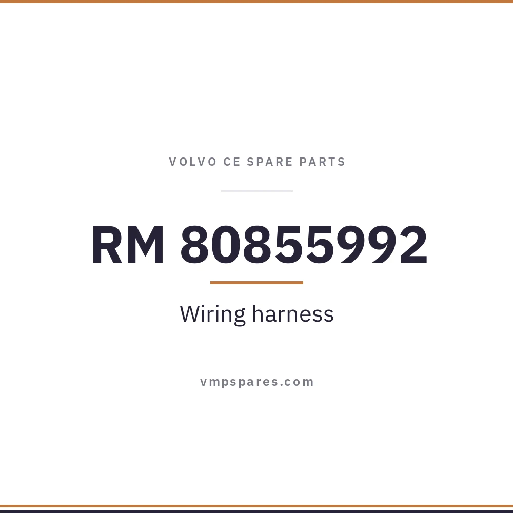 RM 80855992 – Wiring harness
