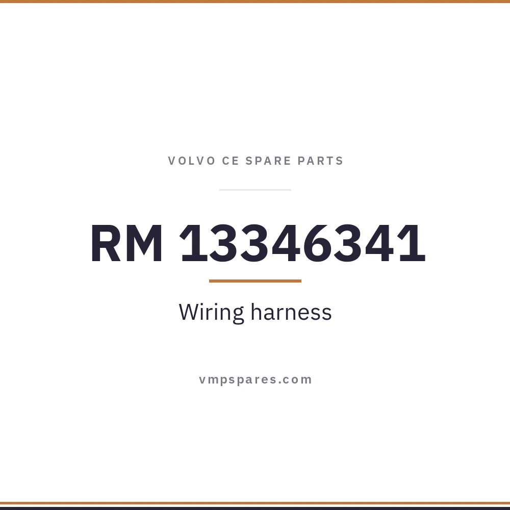 RM 13346341 – Wiring harness