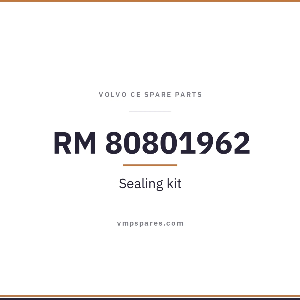 RM 80801962 – Sealing kit