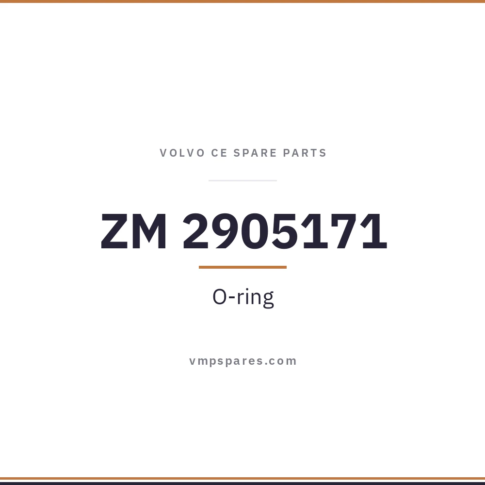 ZM 2905171 – O-ring