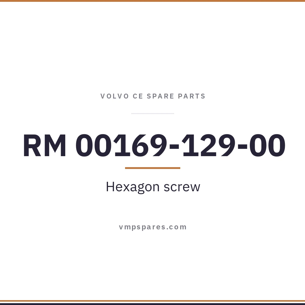 RM 00169-129-00 – Hexagon screw