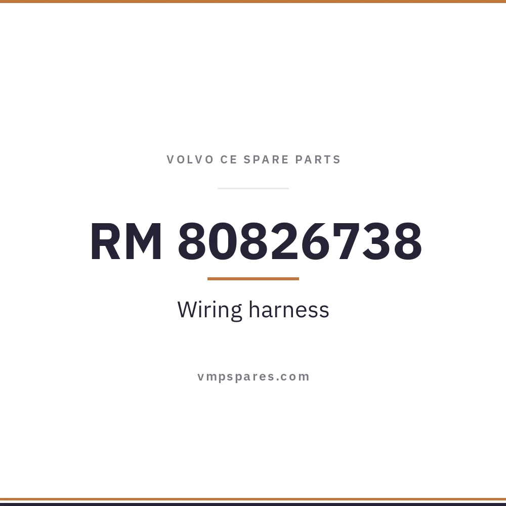 RM 80826738 – Wiring harness