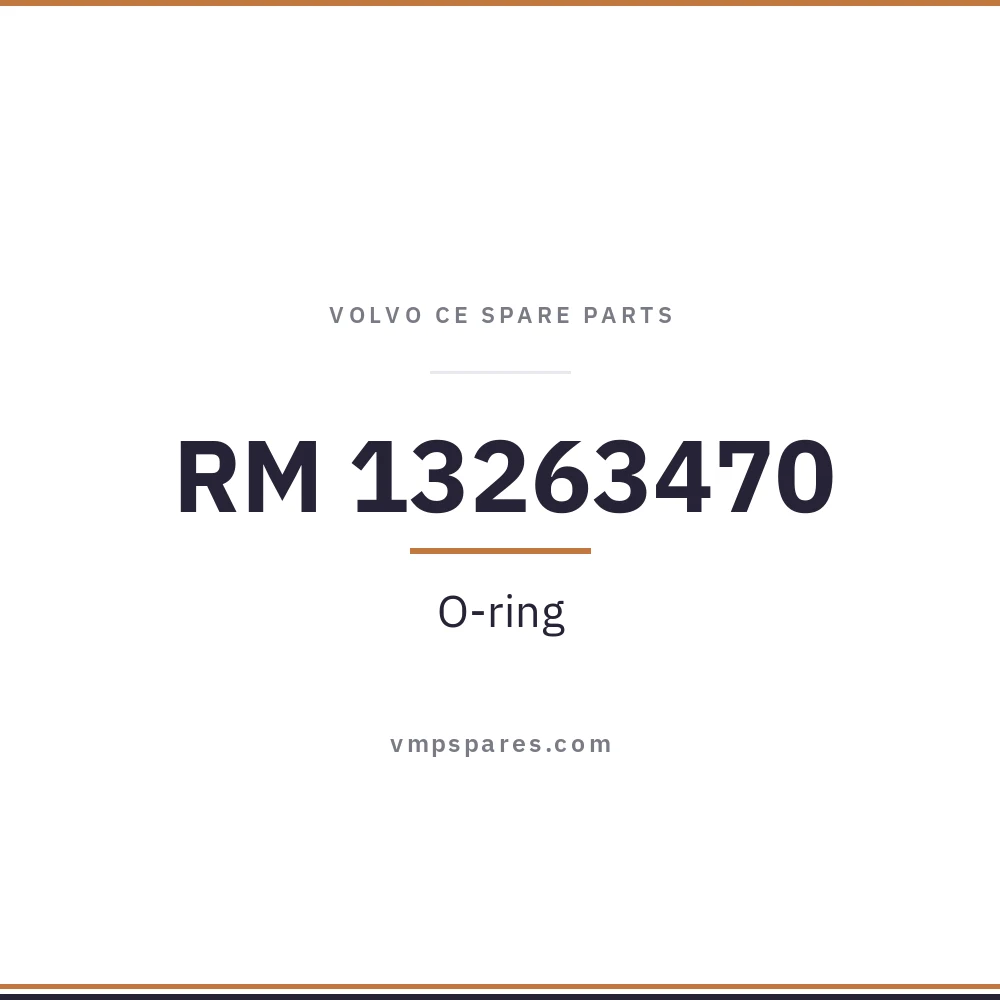RM 13263470 – O-ring