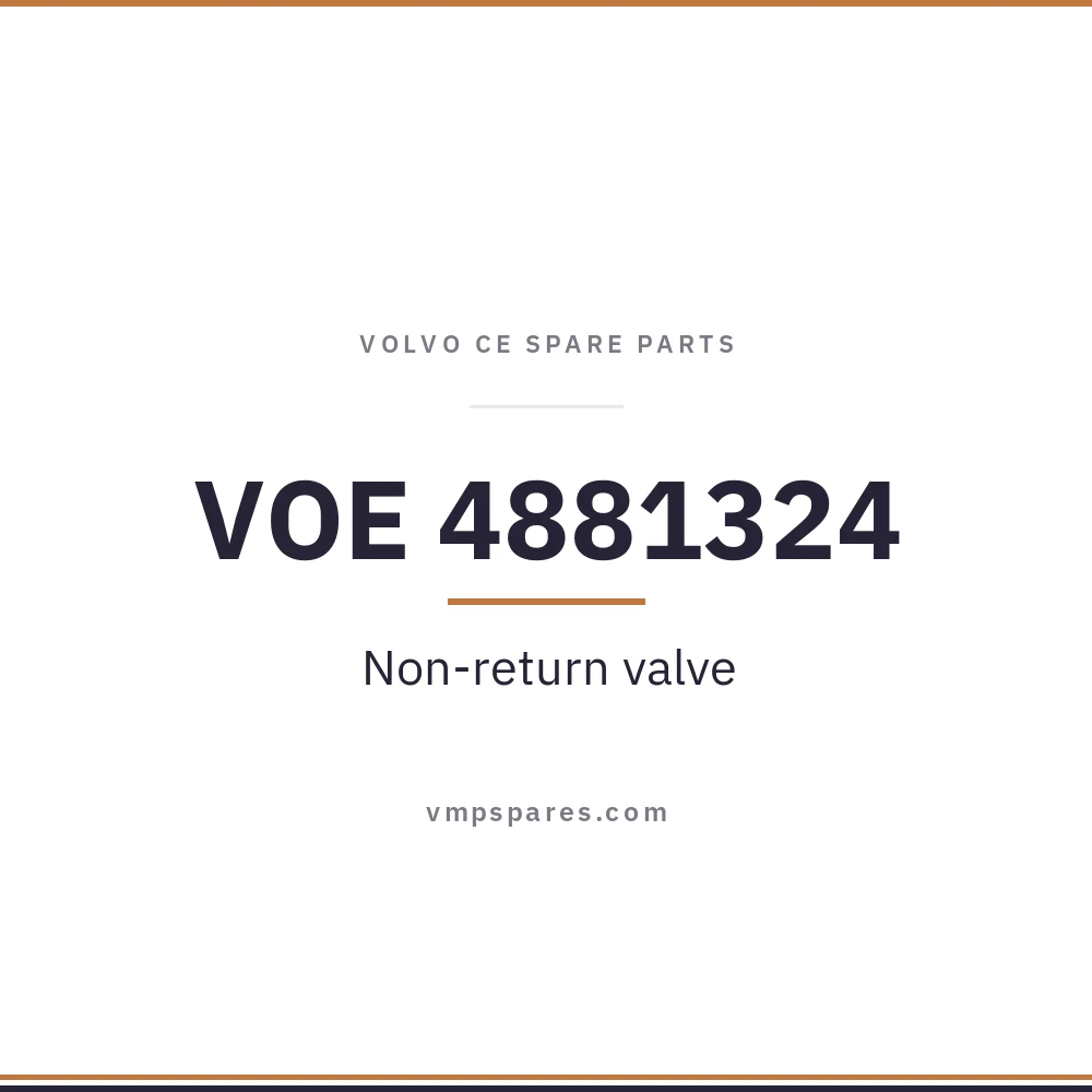 VOE 4881324 – Non-return valve