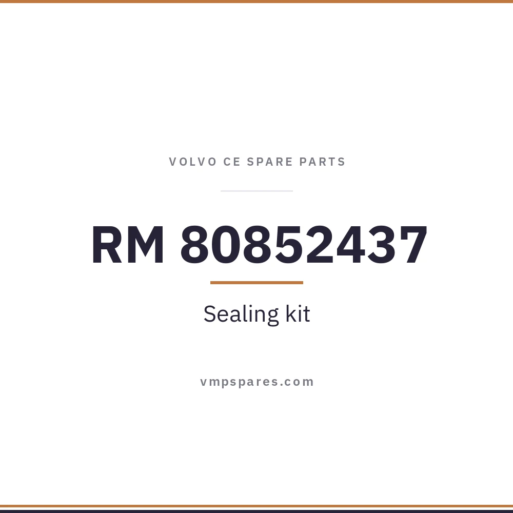 RM 80852437 – Sealing kit