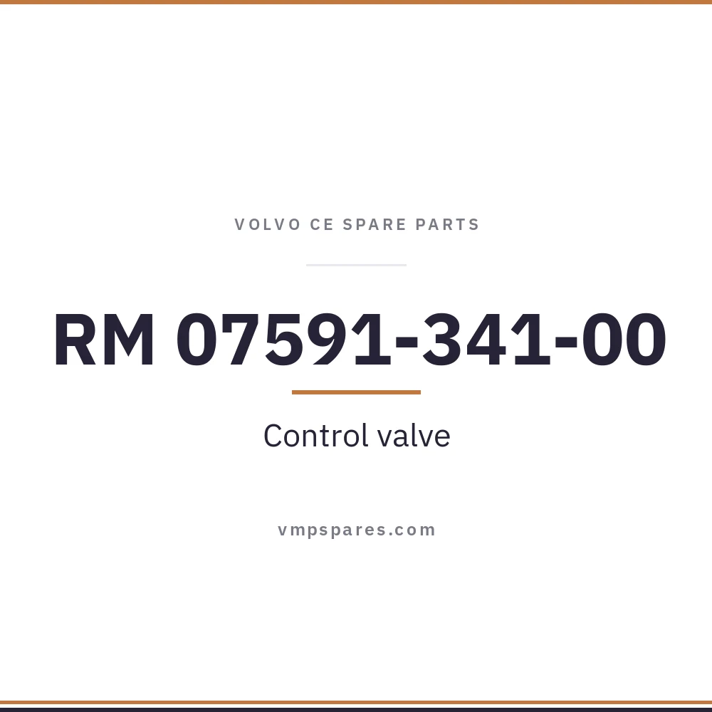 RM 07591-341-00 – Control valve