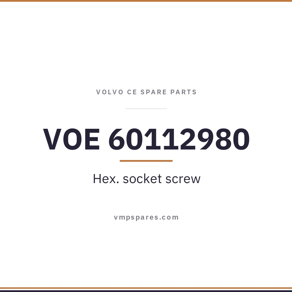VOE 60112980 – Hex. socket screw
